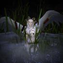 Thumb 61dd42d900ffe83313497e6b