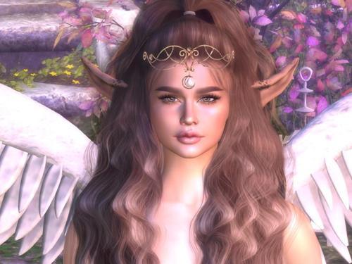 Web 613302d2e0825c462e41f035