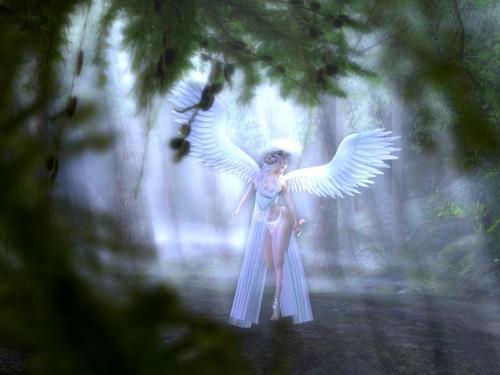 Web 613fd06f6c3f2f34f396b4b3