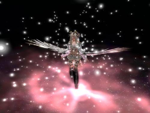 Web 615559966259fb2de57dc296