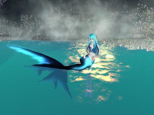 Web 615e2d63cd8dbc1da03b8bf9