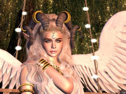 Web 6169e8e74e1b1d0d74510bb4