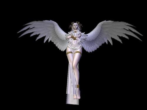 Web 619229465c4aff32aaff7eba