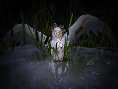 Web 61dd42d900ffe83313497e6b