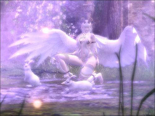 Web 61dd4f7e45b3dc750ea30506