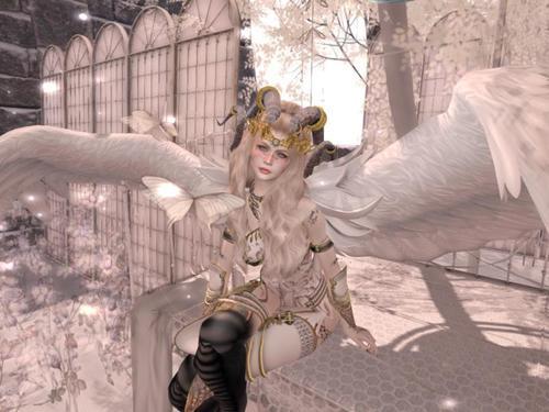 Web 61dfe2cae5e99f5761b5078b