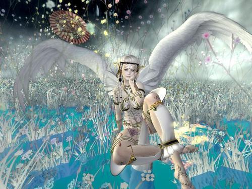 Web 621b13c8b085a4235eed4a29