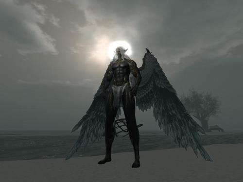 Web 62d3d1562195452b3fae147f