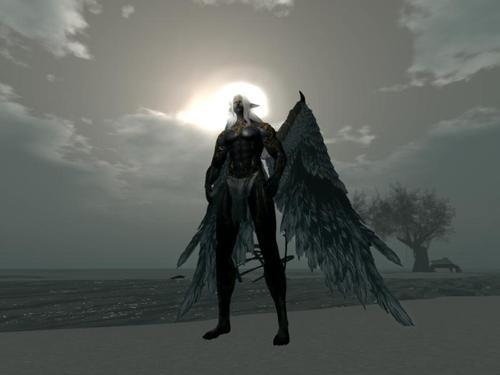 Web 62d3d19e2195452e12ae147f