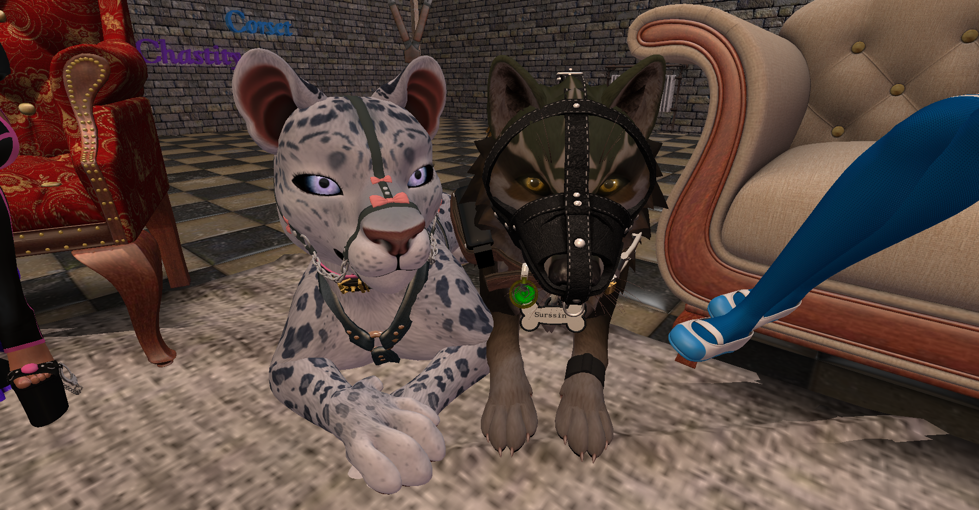 Original 662593efd0ae2a77b2c26005