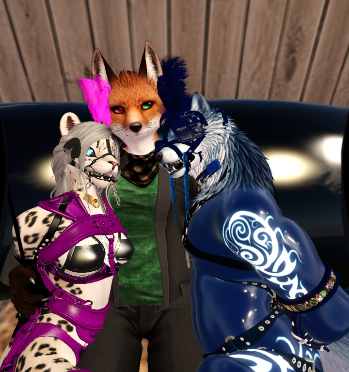 Original 67312ce8a766703d2b335500