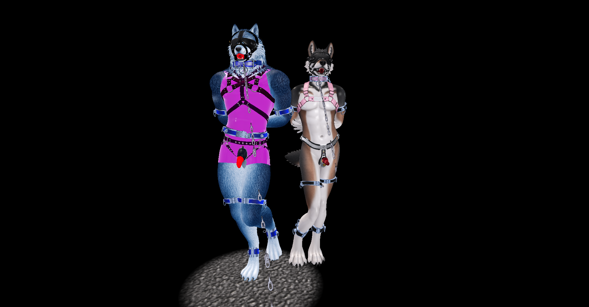 Original 67bb5dd5bf51743d64805d38