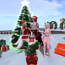 Thumb 63a8a628292a4e01a99959af