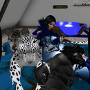 Thumb 65b4329288f2494869bd3dbd