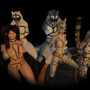 Thumb 6600d53af55cbd0308d0444a