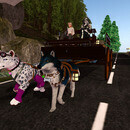 Thumb 67bd18d1018f034c05d3637d