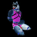 Thumb 67c27954018f0370b3d3637d