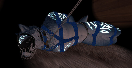 Web 65c91673b854067d10c0801c