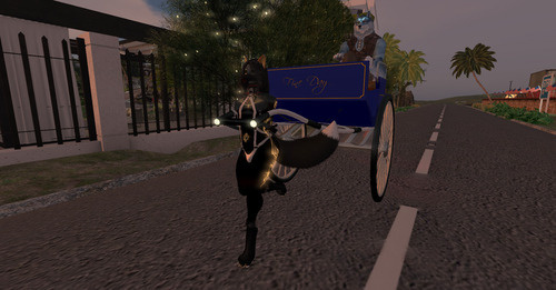 Web 65caa8507d864834fe094498