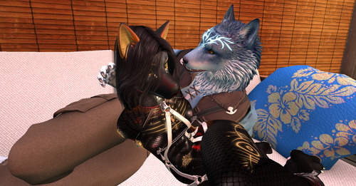 Web 65cab20fe653e65bdf892c2a