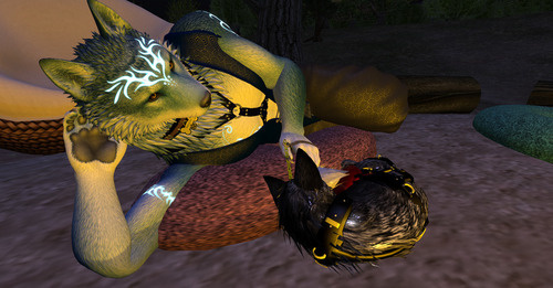 Web 65d4f0f2b404000745eec037