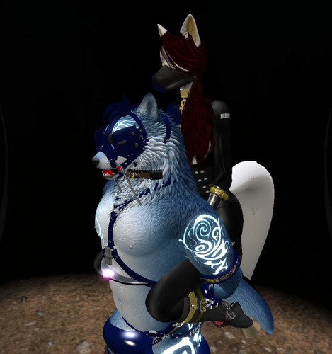 Web 65e760b9bda26c07138917a6