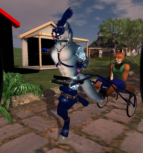 Web 65e8caba551c0e779a89c2ee