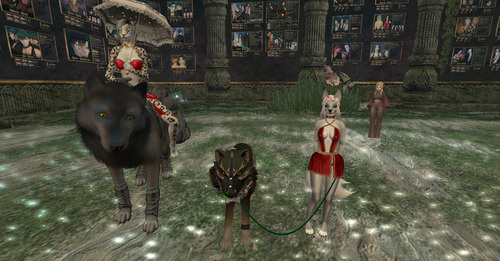 Web 662547bf5313f22972ed3a61