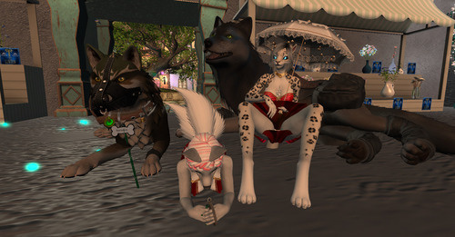 Web 66255305366b46147f1d3f1b