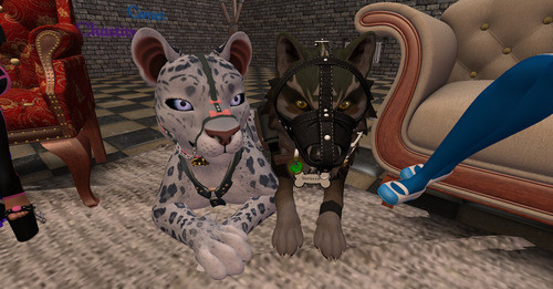 Web 662593efd0ae2a77b2c26005