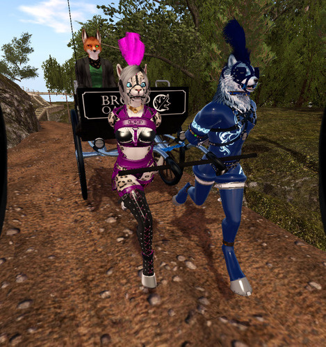 Web 67312987bf51747b95805d38