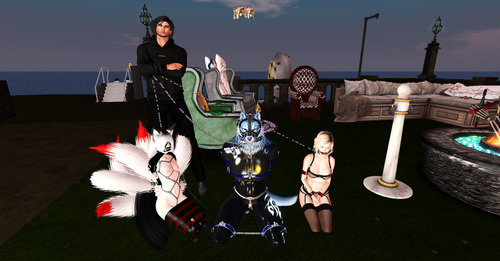 Web 673e0c03a766703ef7335500