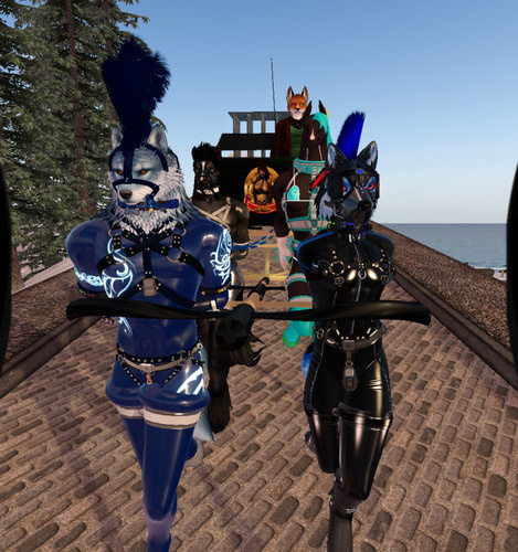 Web 675211a1e93e8e10bbadb5a7