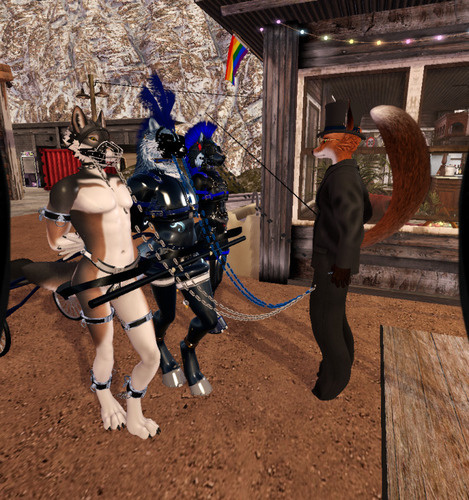 Web 67b38cbb1b25f04927d0c0a5