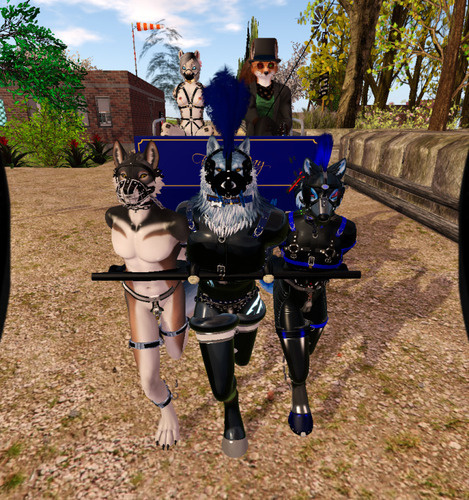 Web 67b392bdacbb55172b7c381a