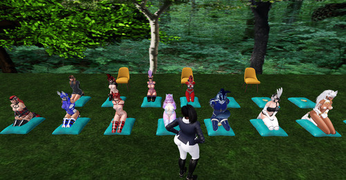 Web 67cde5057dc6a21b2345a22a