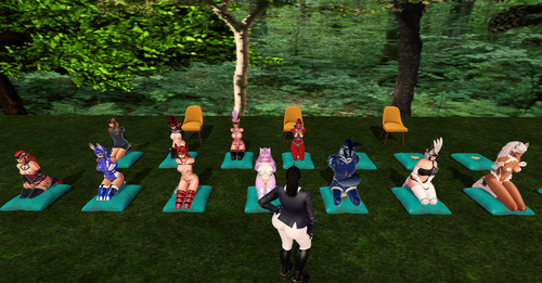 Web 67cde52bacbb55440b7c381a