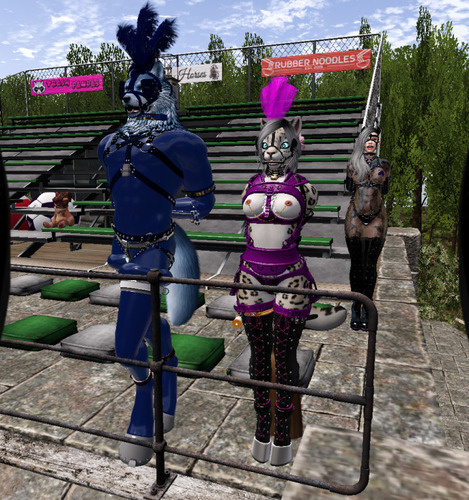 Web 67de29eb74b57164f7c78be1