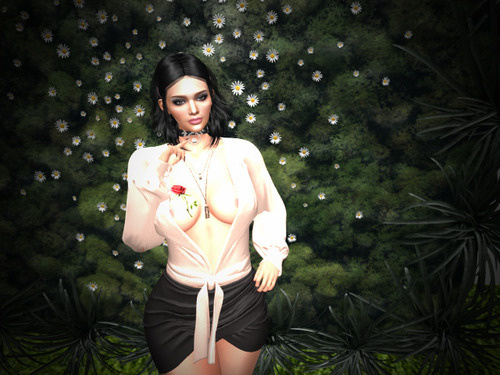 Web 6555ec1fcfa07d3d516ec917