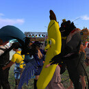 Thumb 66009490f319e80da0145614