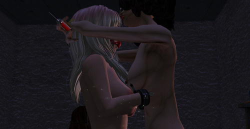 Web 66ab8449413070067f01e9d5