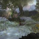 Thumb 648a381bfb19203af107d38c