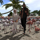 Thumb 63a89a2840f40a0fc14e014b