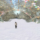 Thumb 6570b446bb508d1304483367