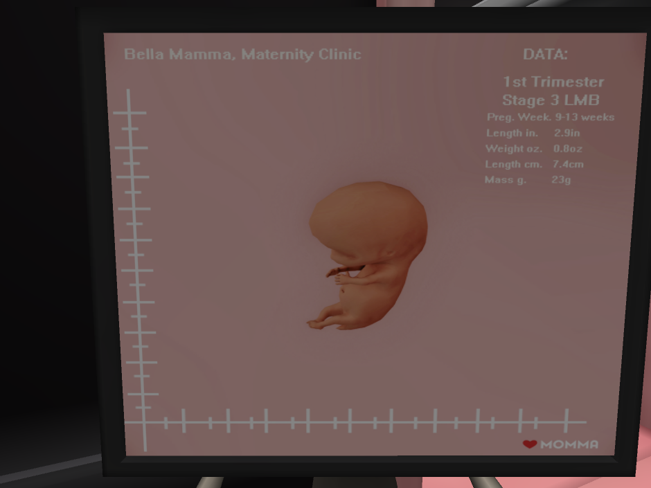 Original 61a5544b5c4aff432bff7eba