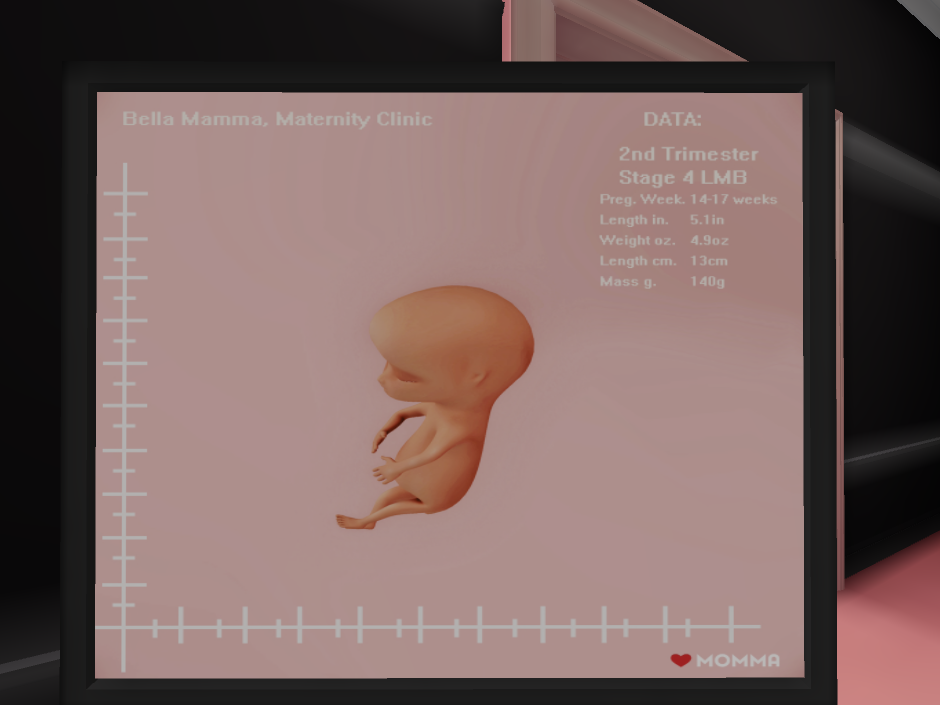 Original 61ae92664e1b1d6bca510bb4