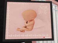 Small 61ca3a98431ad979517df39e