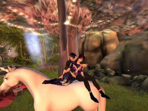 Web 6147fd2831b78c58da935b4a