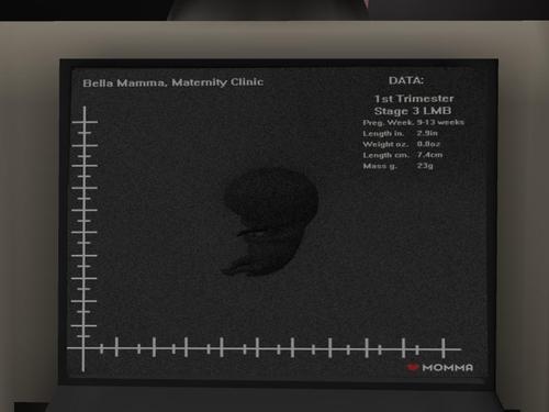 Web 61a552f6fc69d658c98a4028