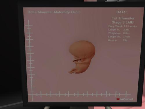 Web 61a5544b5c4aff432bff7eba